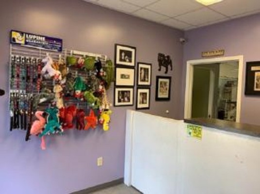 Grooming Business For Sale in Charleston County, SC