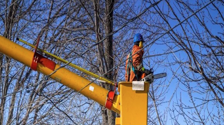 Profitable Tree & Lawn Service for Over 30 Years