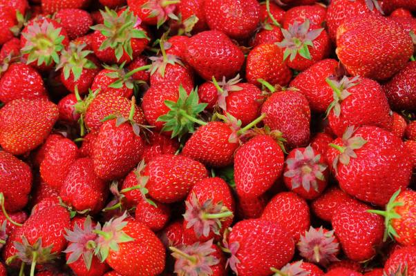 Fruit Processing Manufacturer in National Grocery