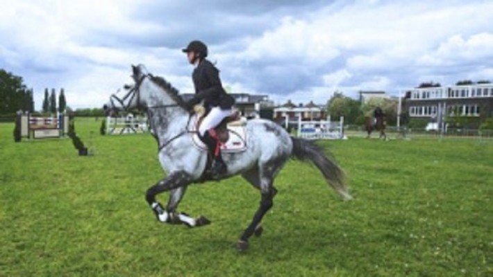 Equestrian Center with Riding Arenas and Stables