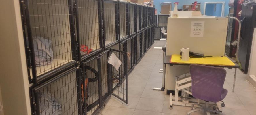Pet Grooming and Boarding Facility