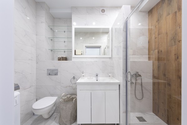 Established Bathroom Remodeling Franchise