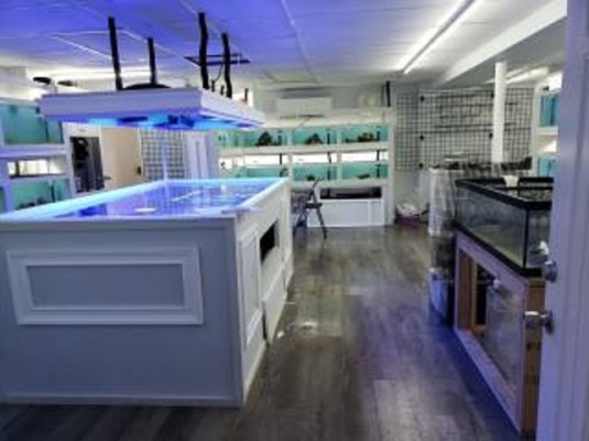 Aquatics Store for Sale in Suffolk County, NY