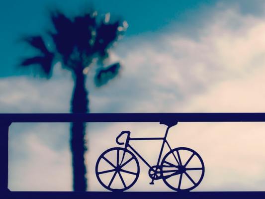 Prestigious Central Valley Bicycle Shop