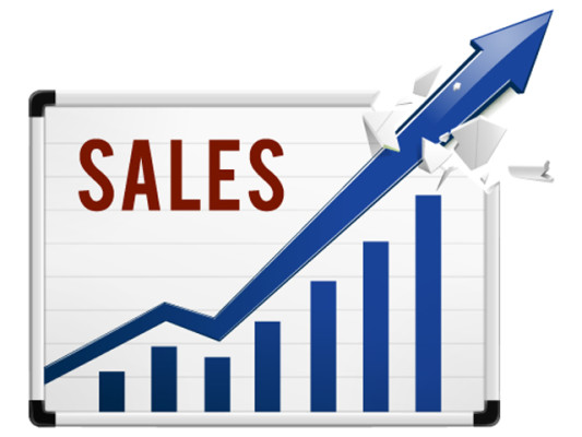 Business Sales & Management Training Service