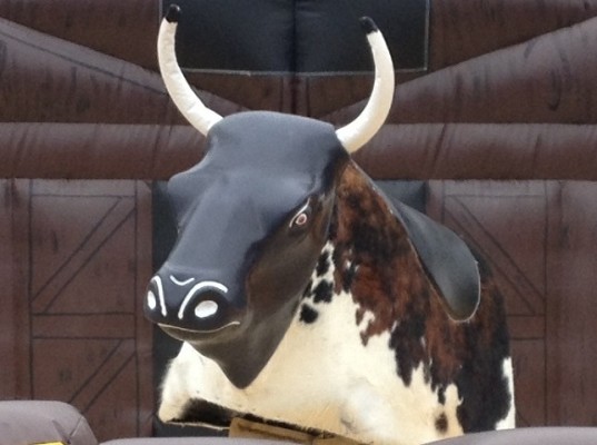 Popular Inflatable Party Rental Service for Sale