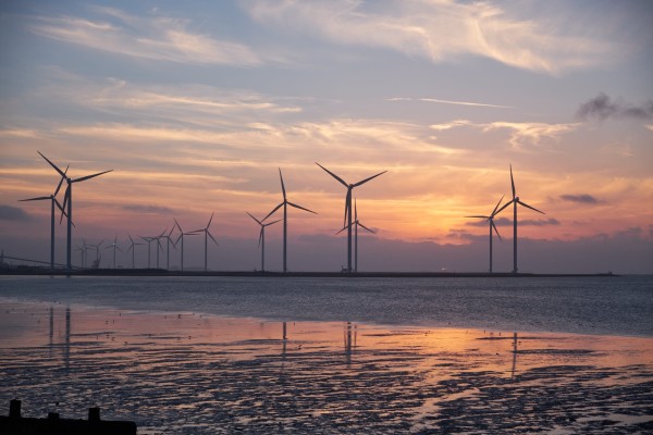 Continued Growth - Solar & Energy Consulting