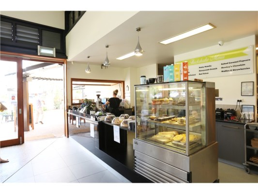 Well Established Breakfast & Lunch Cafe