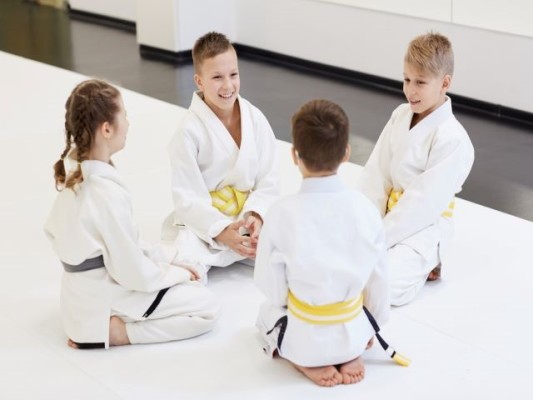 Martial Arts Business For Sale