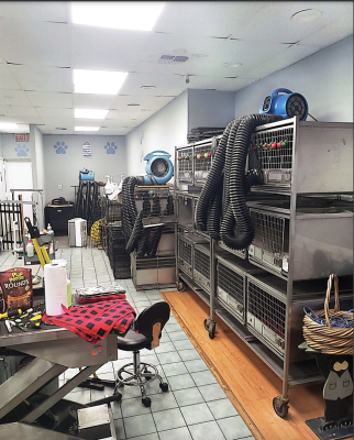 Turn-Key Pet Grooming Business For Sale in New Yor