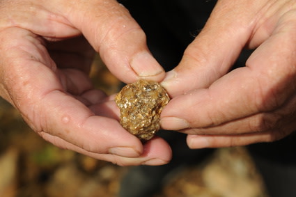 Nevada / Utah Gold Mine $1 Million