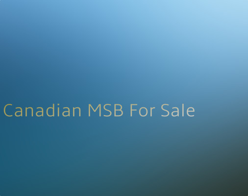 Canadian Licensed MSB Financial Company