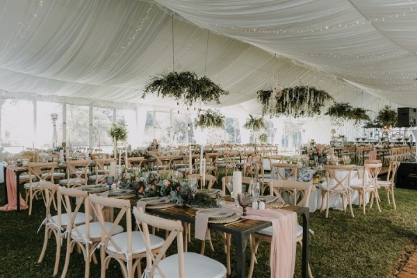 Motivated: Tent Rental Opportunity