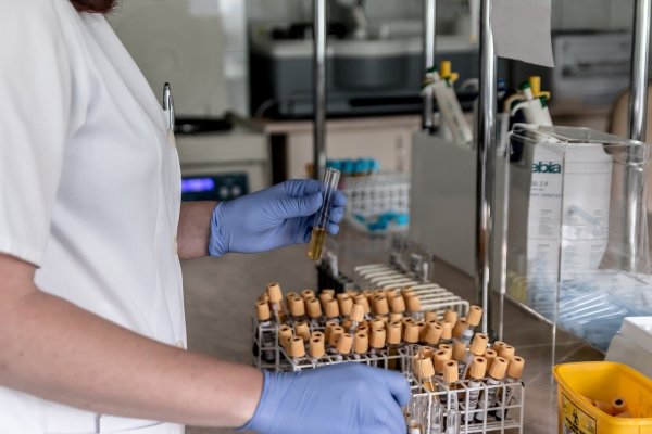 Clinical Laboratory with In-Network Contracts