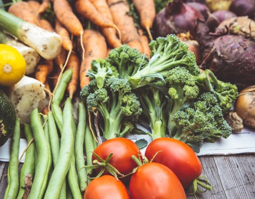 Seeking Food Distributors & Manufacturers