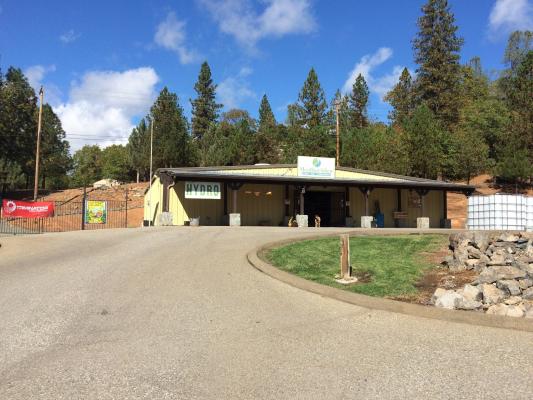 First Ad/Nursery Biz in Foothills of N. California