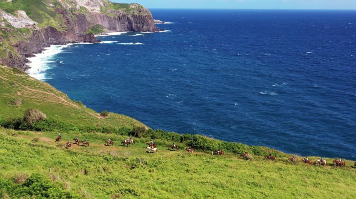 35-acre Ocean Front Ranch & Trail Ride Business