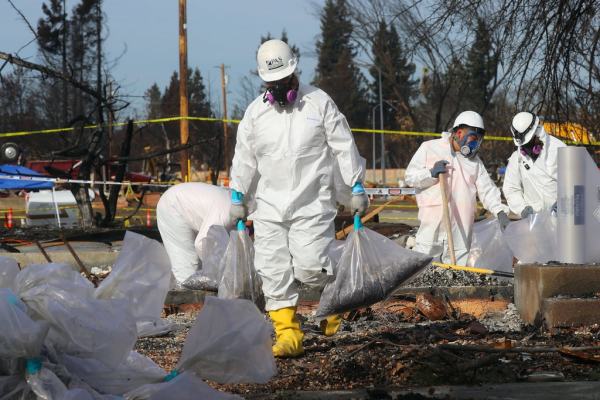 Asbestos Abatement Company For Sale