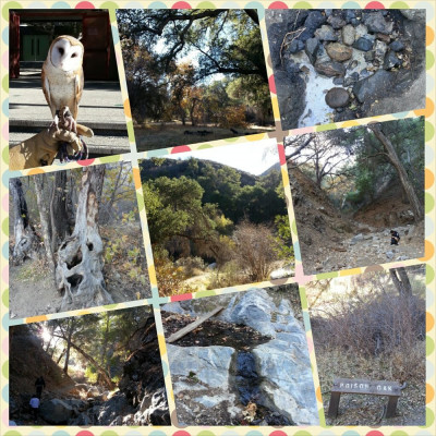 Land for Sale 4 Parcels in LA County + 13 Oil Wells