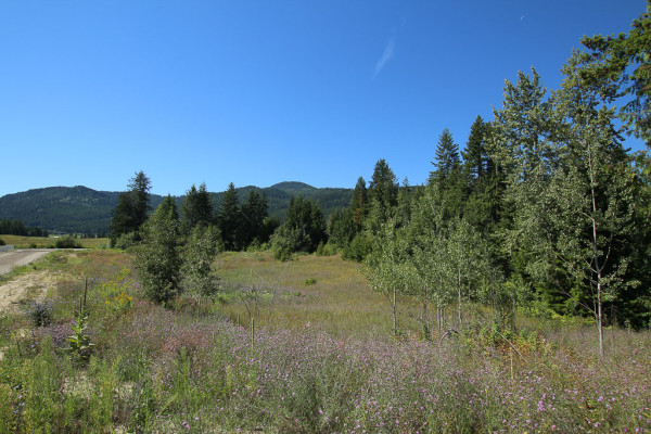 Salmon Arm - 9 Acre Development Property M1 Zone