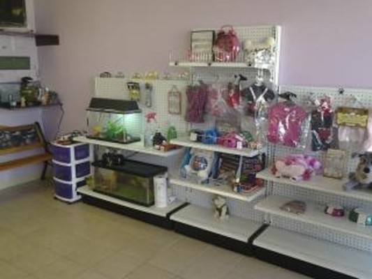 Pet Grooming & Boarding for Sale in Nassau County