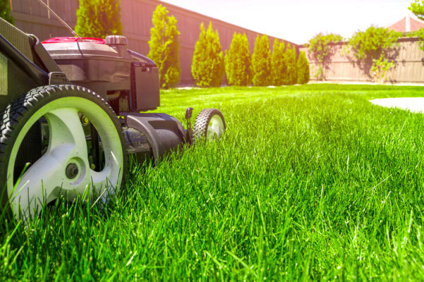 Large Landscaping Business with Commercial Clients