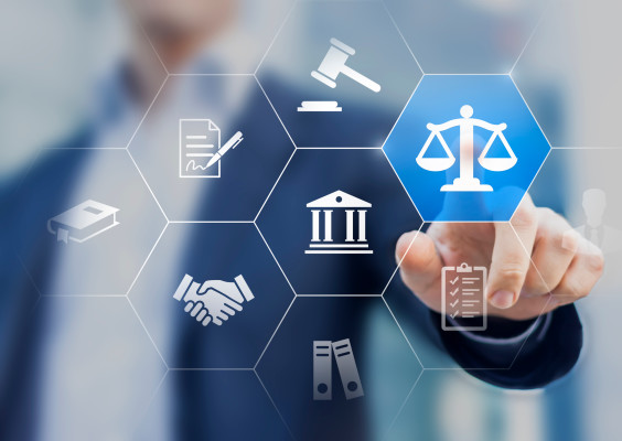 Litigation Support & Document Hosting Services