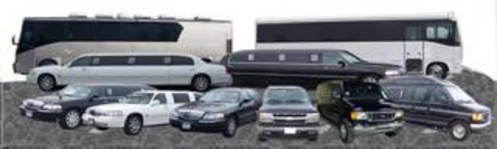 Transportation & Limo Business in Nassau County