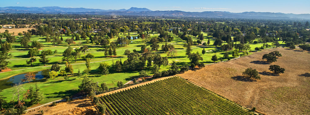 Price Reduced/ Practice For Sale - Santa Rosa