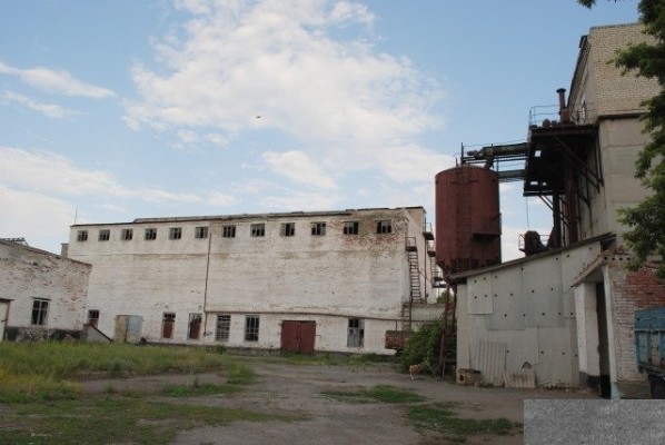 Feed Mill is on Sale