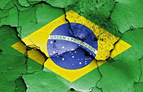 Complete Wood Industry - Brazil - 38,418 ha