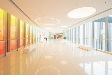Established Shopping Mall Center