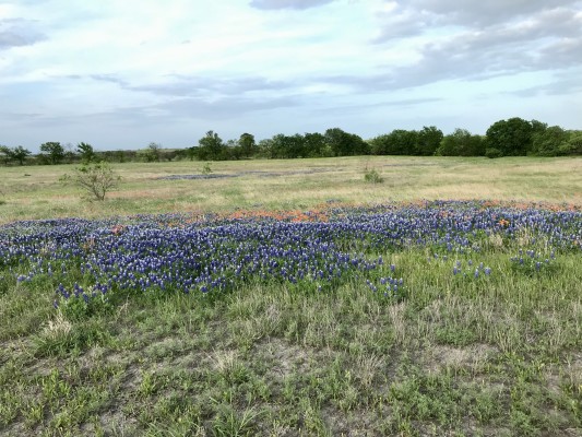 Mullican Place Ranchettes, Ellis Co. (Dallas), Tx.