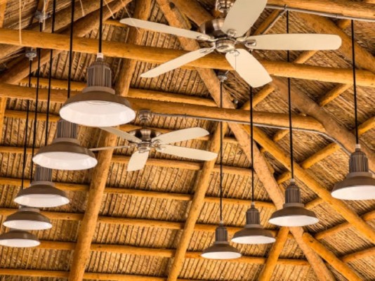 Long Established Fan and Lighting Store