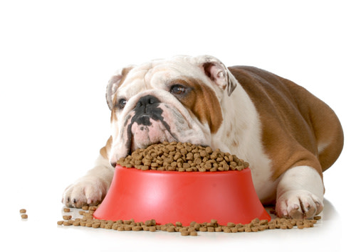 Highly Profitable Feed, Seed and Fertilizer Supply