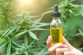 Land for Lease Cannabis Growing