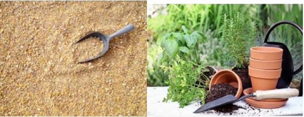 Profitable Animal / Gardening Supply Store
