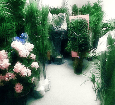 Interiorscaping Mfg and Svs Provider