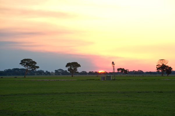 Agriculture Land Space for Long Lease