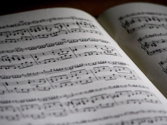 Music Store for Instrument Sales and Rentals