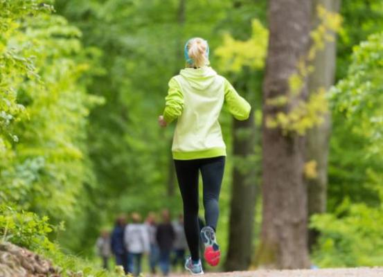 Niche Online Scalable Fitness Company
