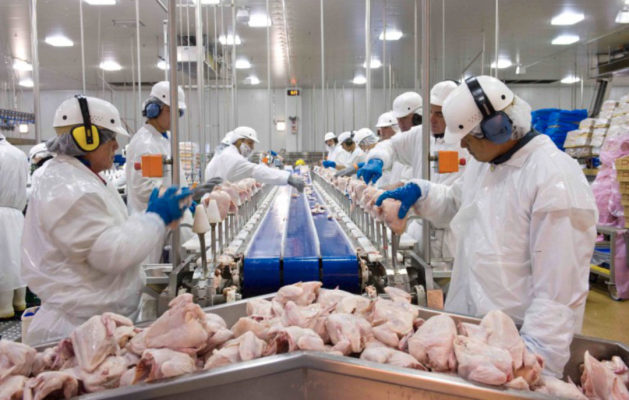 Latin-America Chicken Processing Plant 2