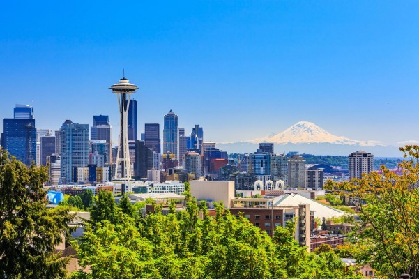 Bellevue WA Chiropractic Practice for Sale