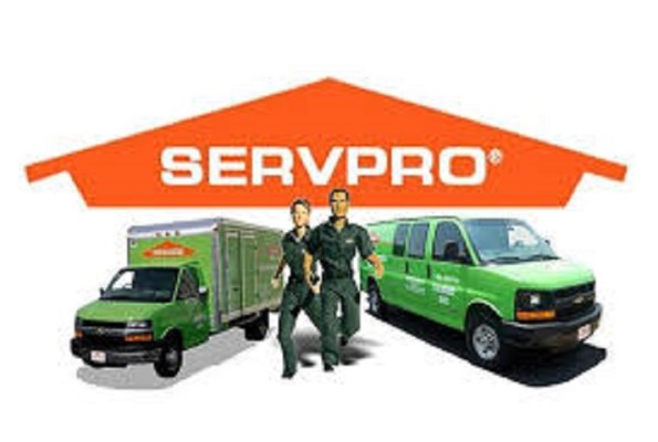 Successful Servpro Franchise for Sale