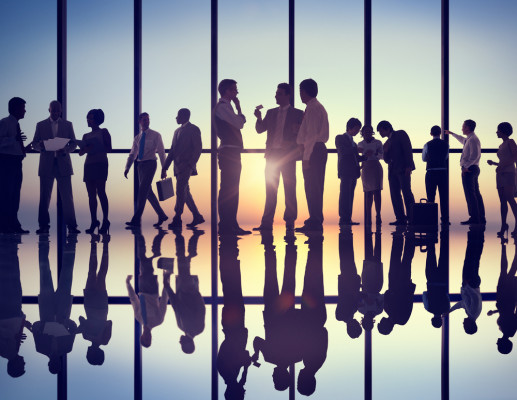 Online Management Consulting Firm and SAAS