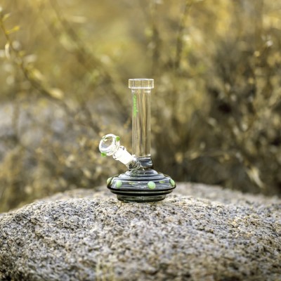 Top-Notch Smoke/Head Shop in Prime Location