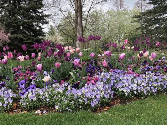 Gardening & Landscape Designs