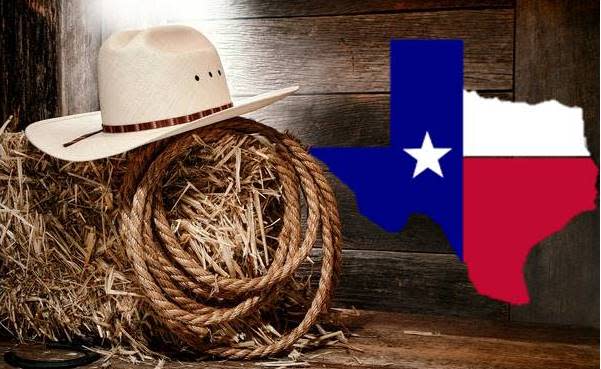 E-Comm Texas Gift Basket & Gourmet Foods