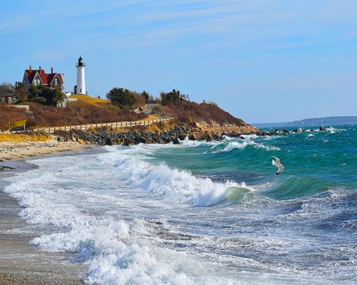 Chiropractic Practice for Sale in Cape Cod MA Area