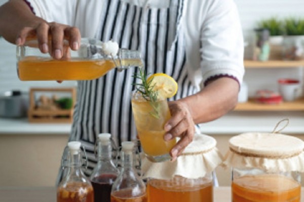 Popular Kombucha Brewing Kit Maker